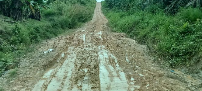 
					Viral Jalan Bak Kubangan Kerbau di Aceh Utara, Azali Fuazi Desak PT PGE Turun Tangan